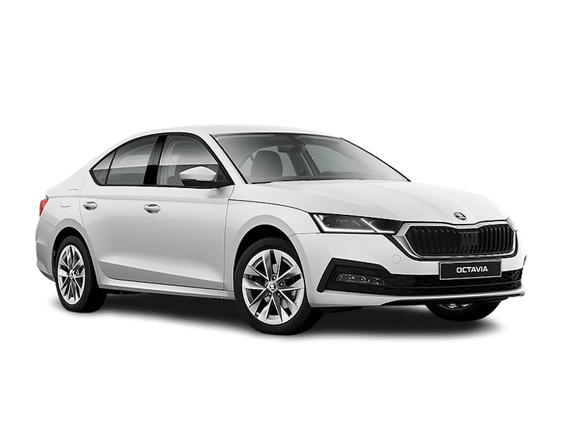 Купить Skoda Octavia в Кемерово - Белый / Pure White